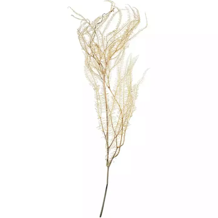 Natural Bleached Andares Fern Stems, Set of 9