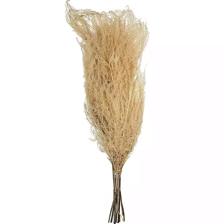 Natural Bleached Andares Fern Stems, Set of 9
