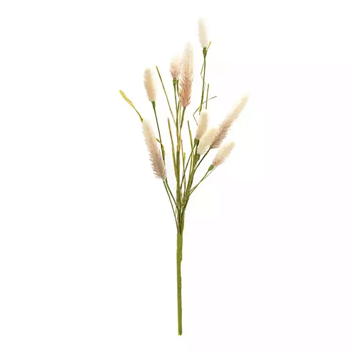Natural Foxtail Sprays, Set of 6