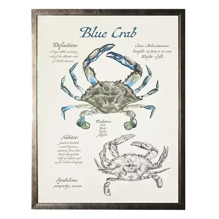 Nature Study of a Blue Crab Framed Art Print