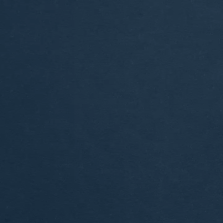 Navy Alpine Blackout Curtain Panel, 95 in.