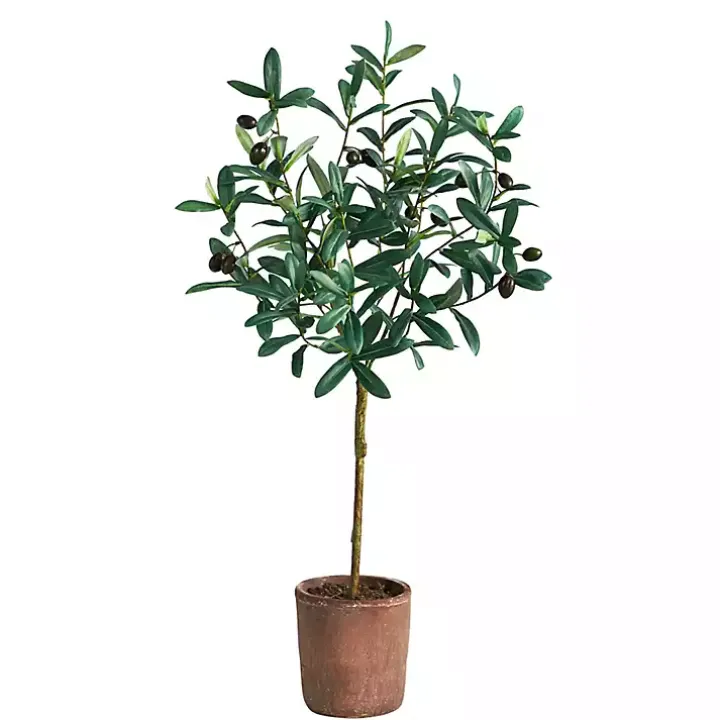 Olive Branch Tree in Weathered Planter, 3 ft.