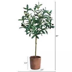 Olive Branch Tree in Weathered Planter, 3 ft.