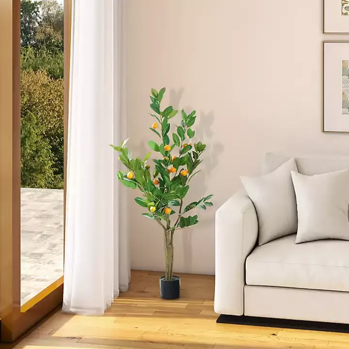 Orange Fruit Tree in Black Pot, 4 ft.