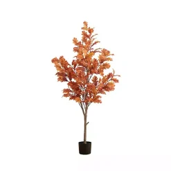 Orange Oak Tree in Black Planter, 5 ft.