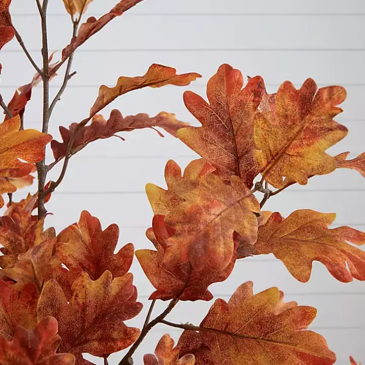 Orange Oak Tree in Black Planter, 5 ft.