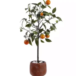 Orange Tree in White Pot