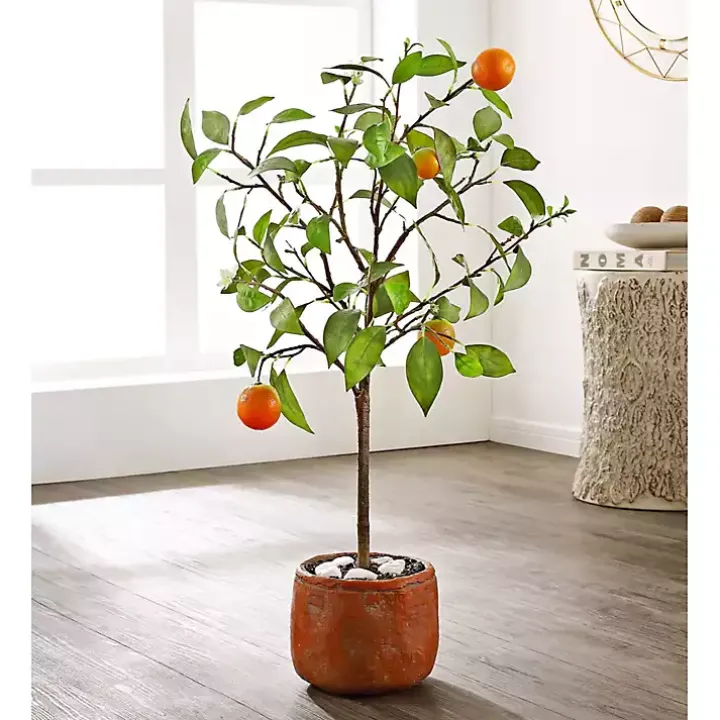 Orange Tree in White Pot