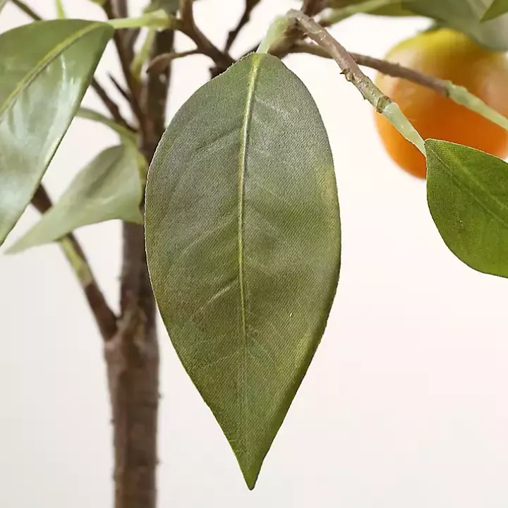 Orange Tree in White Pot