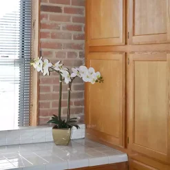 Orchid Arrangement in Gold Pot