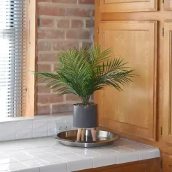Palm Arrangement in Gray Footed Pot