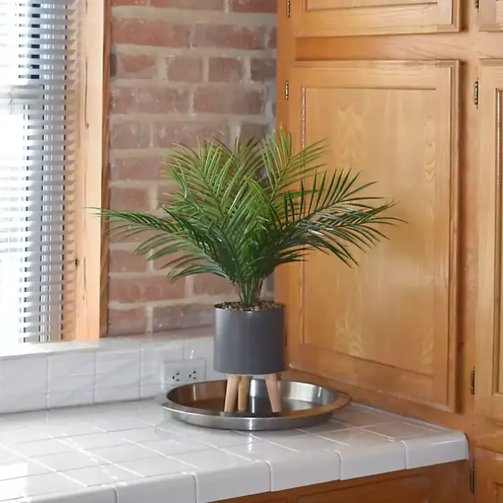 Palm Arrangement in Gray Footed Pot