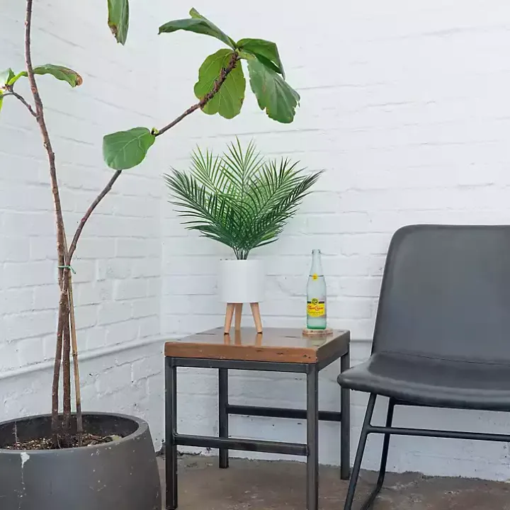 Palm Arrangement in White Footed Pot