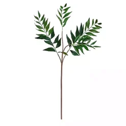 Palmate Fern Stems, Set of 3