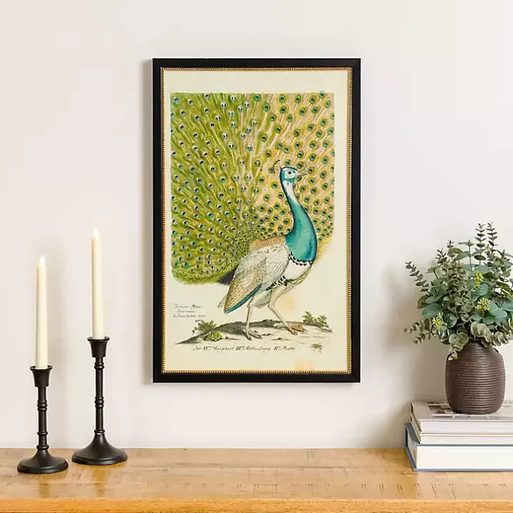 Peacock Framed Wall Art