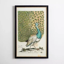 Peacock Framed Wall Art