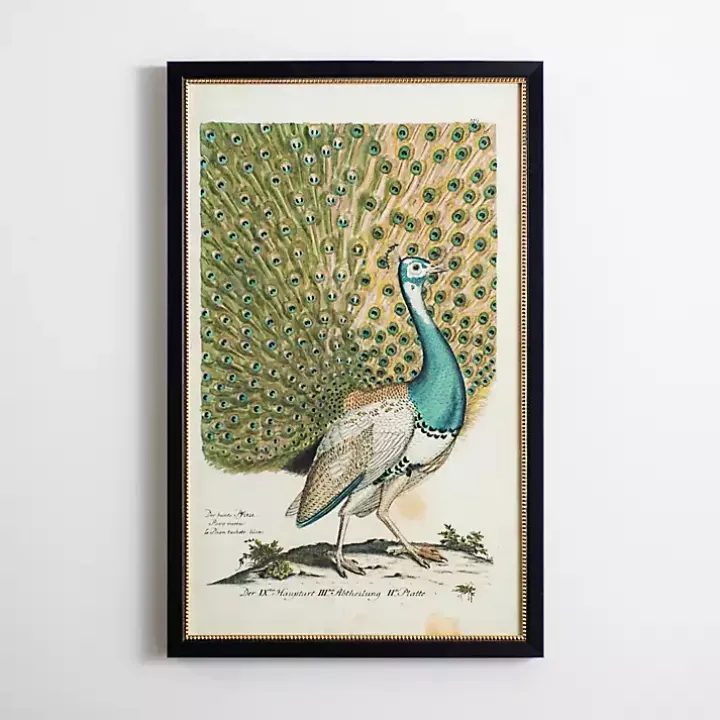 Peacock Framed Wall Art