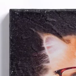 Pippa the Cat Canvas Art Print
