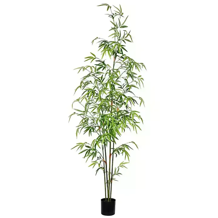 Potted Bamboo Tree, 5 ft.