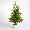 Potted Norway Spruce Christmas Tree, 60 in.