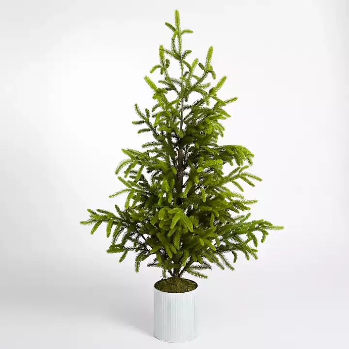 Potted Norway Spruce Christmas Tree, 60 in.