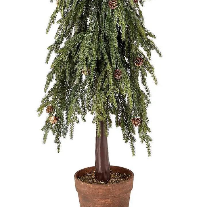 Potted Soft Touch Norfolk Pine Tree, 48 in.