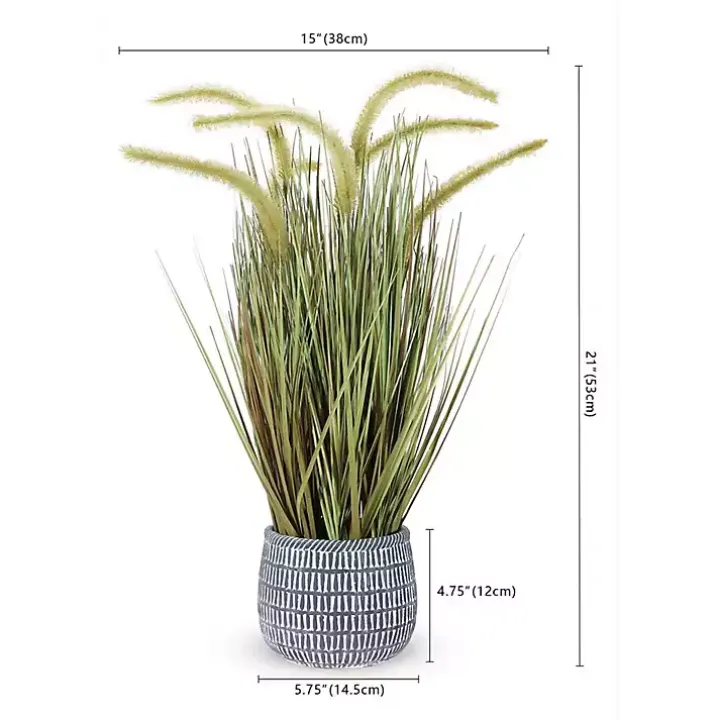 Prairie Grass in Pot