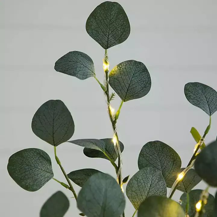 Pre-Lit Warm LED Eucalyptus Plant, 5 ft.