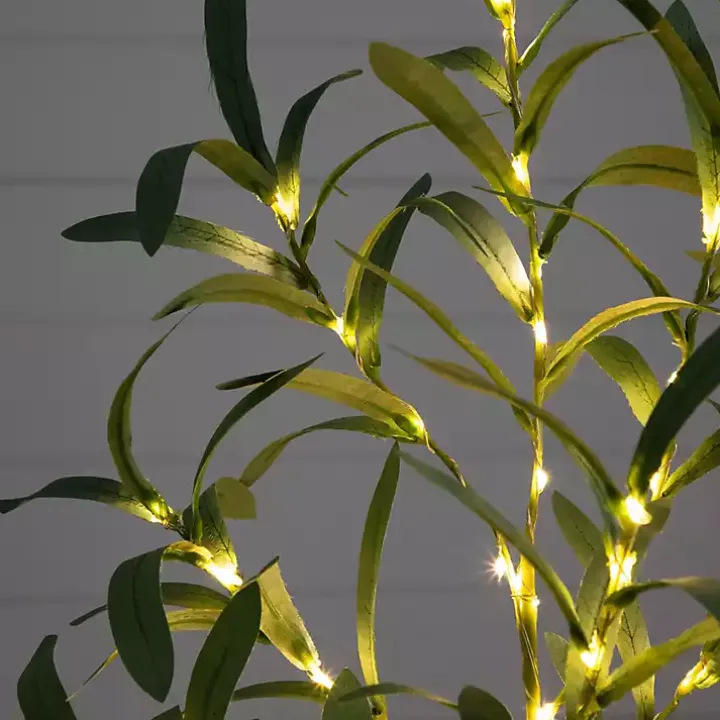 Pre-Lit Warm LED Olive Tree, 2 ft.