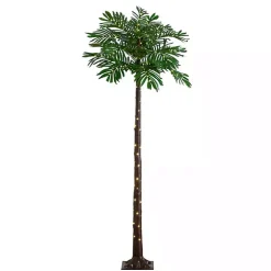 Pre-Lit Warm LED Palm Tree, 6 ft.