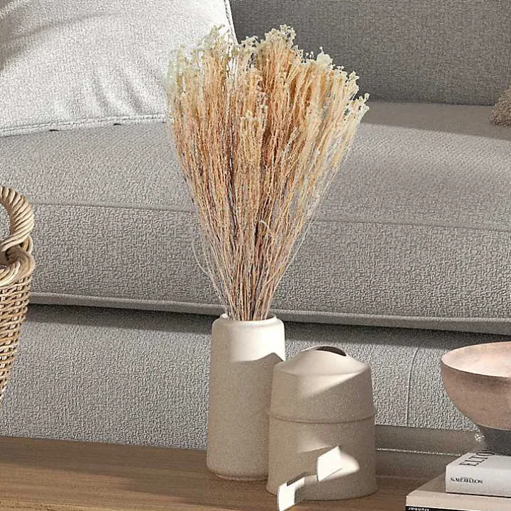 Preserved Natural Bleached Staavia Bush