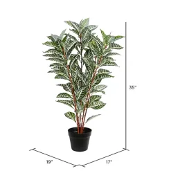 Real Touch Zebra Plant in Nursery Planter