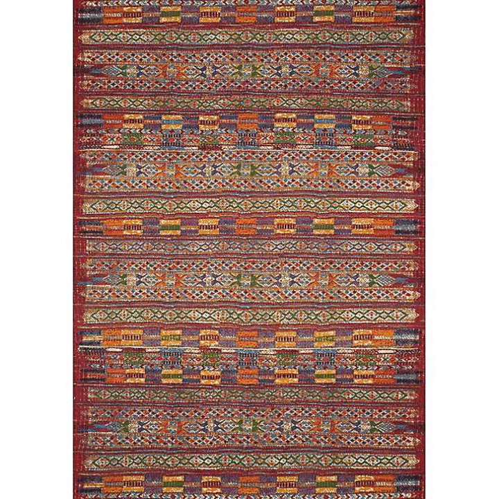 Red Multicolor Southwestern Outdoor Area Rug, 7x11
