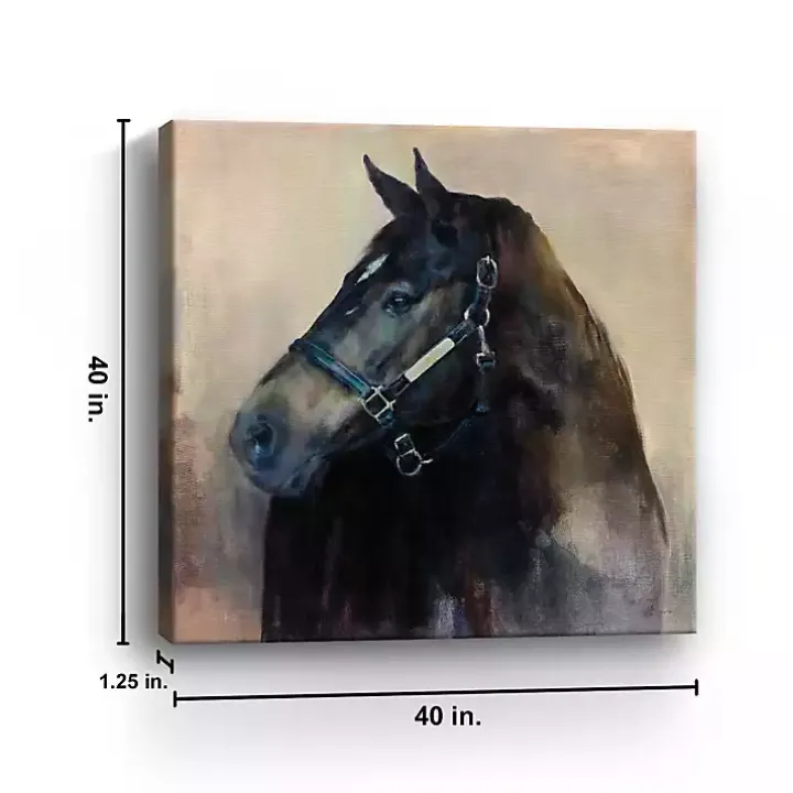 Ritzy Horse Canvas Art Print