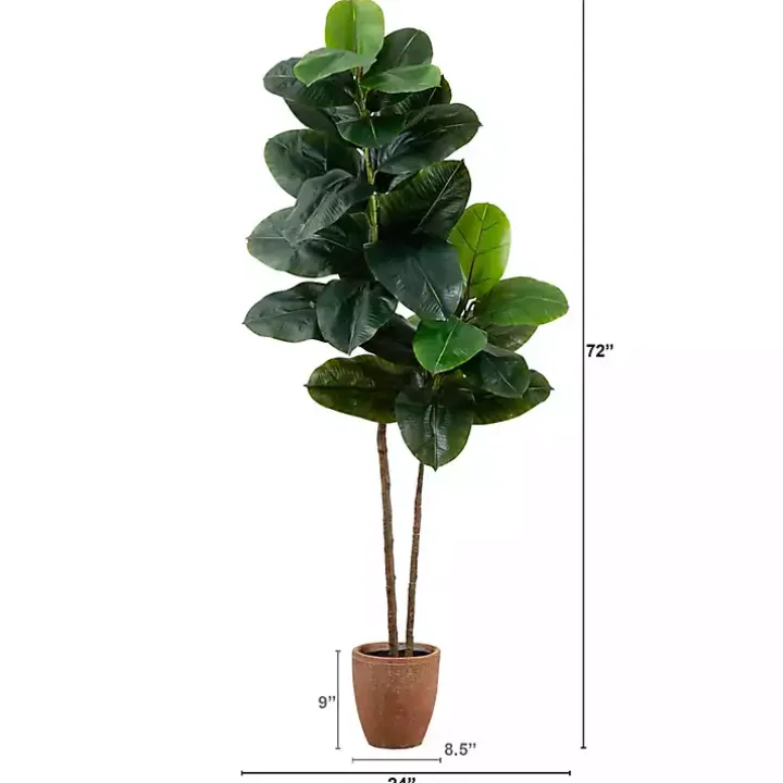 Rubberwood Tree in Planter, 6 ft.