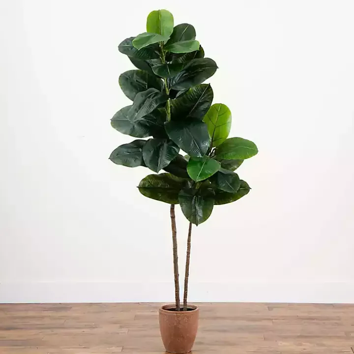 Rubberwood Tree in Planter, 6 ft.