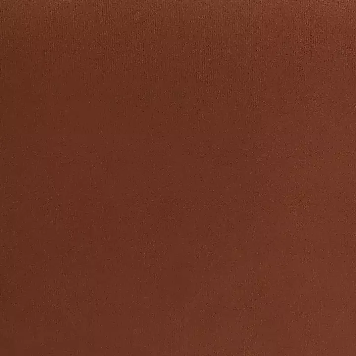 Rust Velvet Upholstered Knox Accent Chair