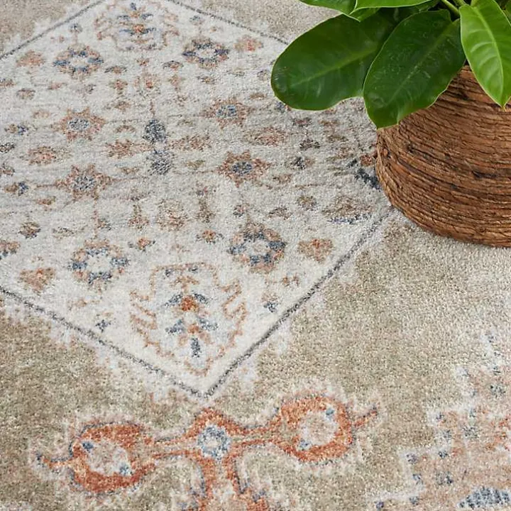 Sage Distressed Medallion Washable Area Rug, 5x7