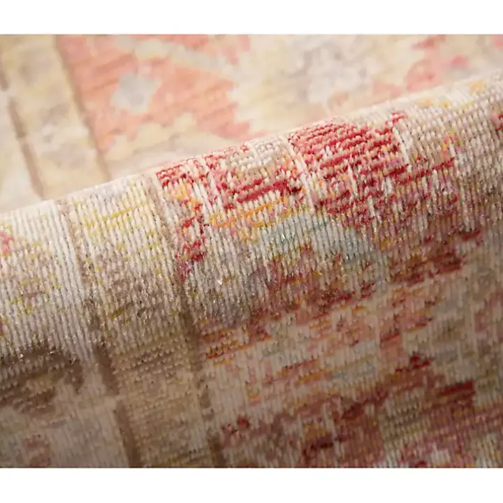 Salmon Vintage Border Area Rug, 5x7