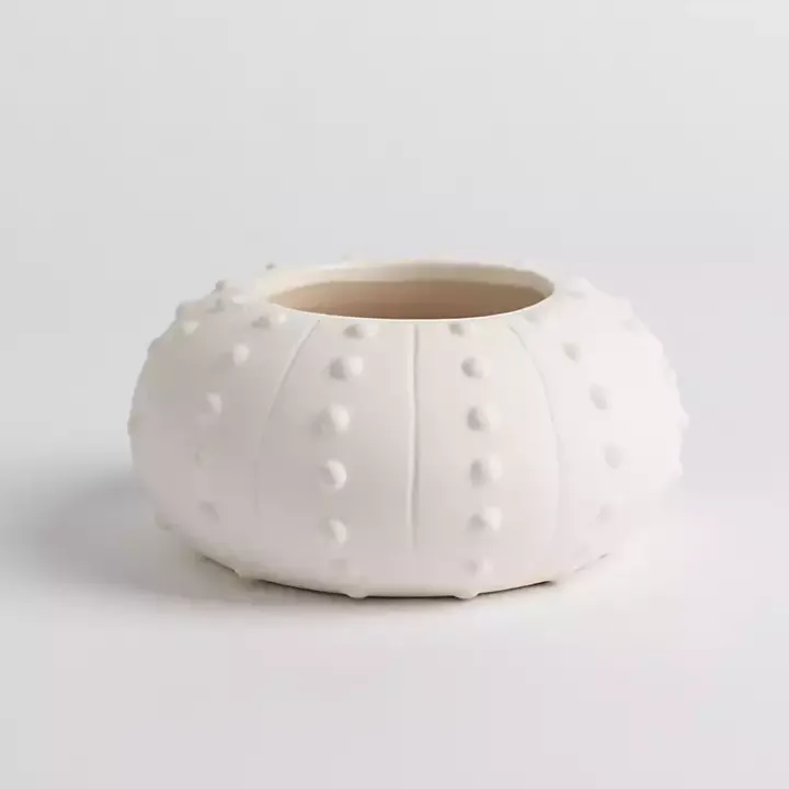 Salt and Driftwood Sea Urchin Jar Candle