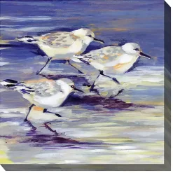 Sandpipers Outdoor Canvas Art Print