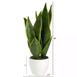 Sansevieria Arrangement in White Planter