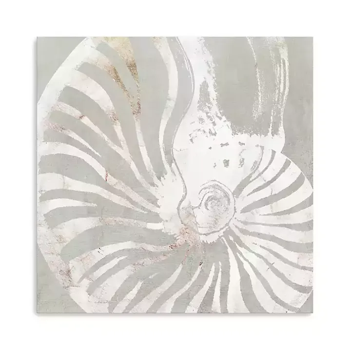 Seashell Close Up Canvas Art Print