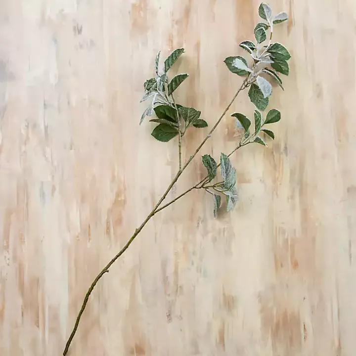 Snowy Eucalyptus Stems, Set of 3