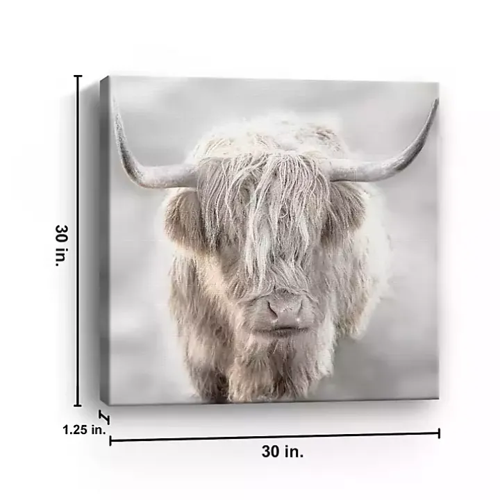 Soft Solo Highland Giclee Canvas Art Print