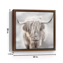 Solo Highland Cow Framed Canvas Art Print, 30x30