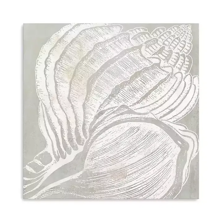Spiral Seashell Close Up Canvas Art Print