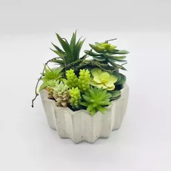 Succulent Arrangement in Zig-Zag Gray Planter