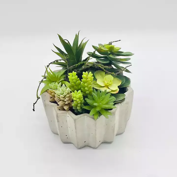 Succulent Arrangement in Zig-Zag Gray Planter