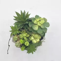 Succulent Arrangement in Zig-Zag Gray Planter